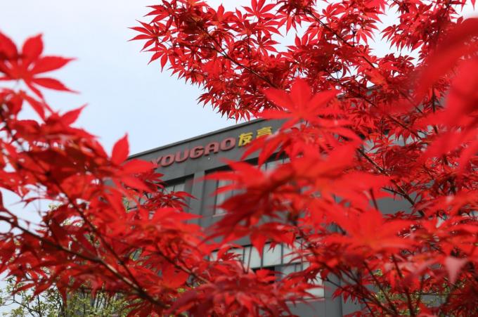China Hefei Luox Yougao Technology Co., Ltd. Bedrijfsprofiel 2