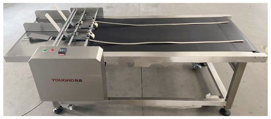 Inkjet codering Automatische pagina-machine met uitgebreide plaatmatch met inkjetprinter