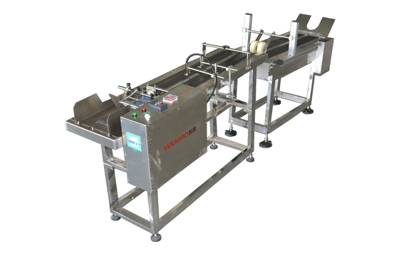 180w Variable Frequency Card Coding Feeder Machine